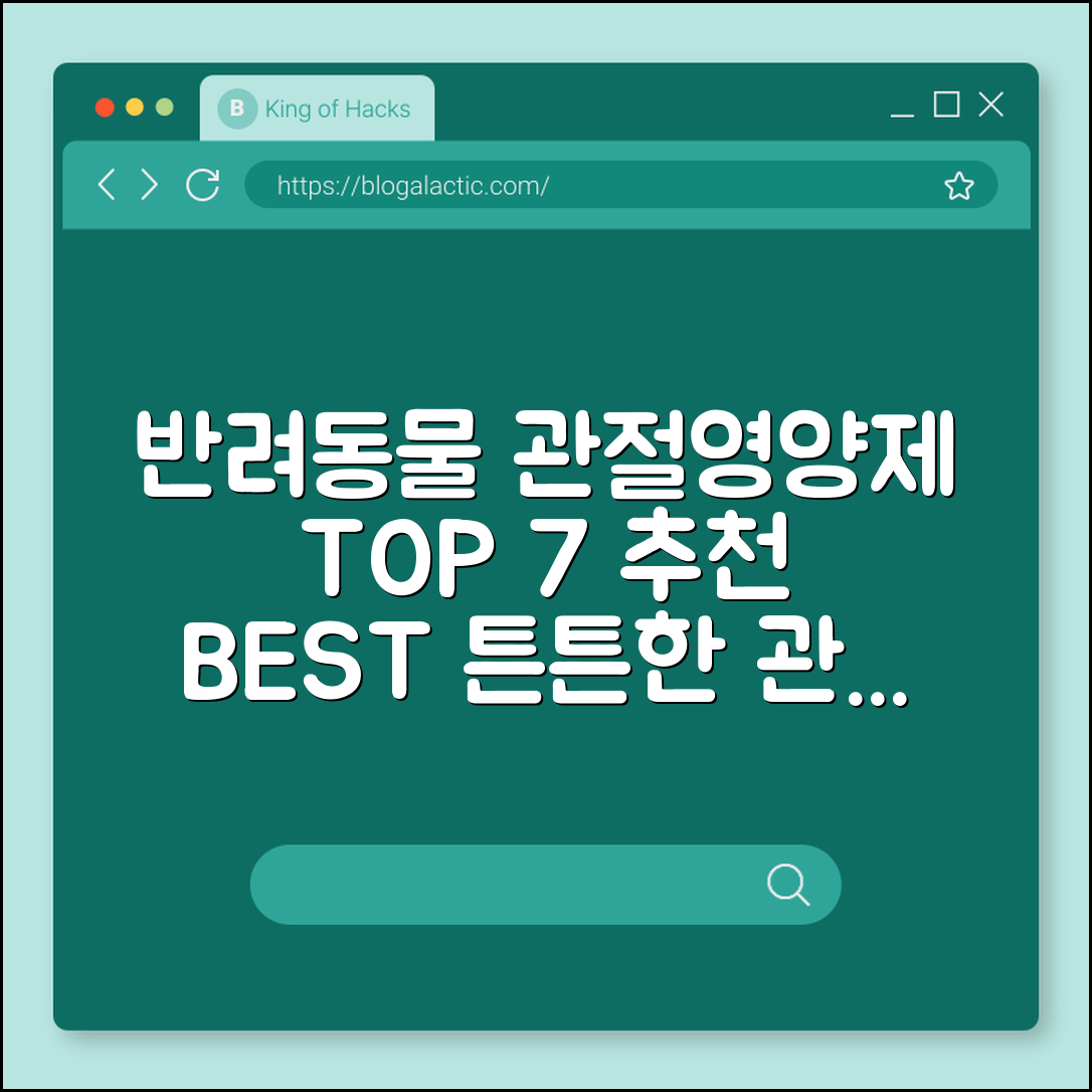 반려동물 관절용 영양제 7가지 추천