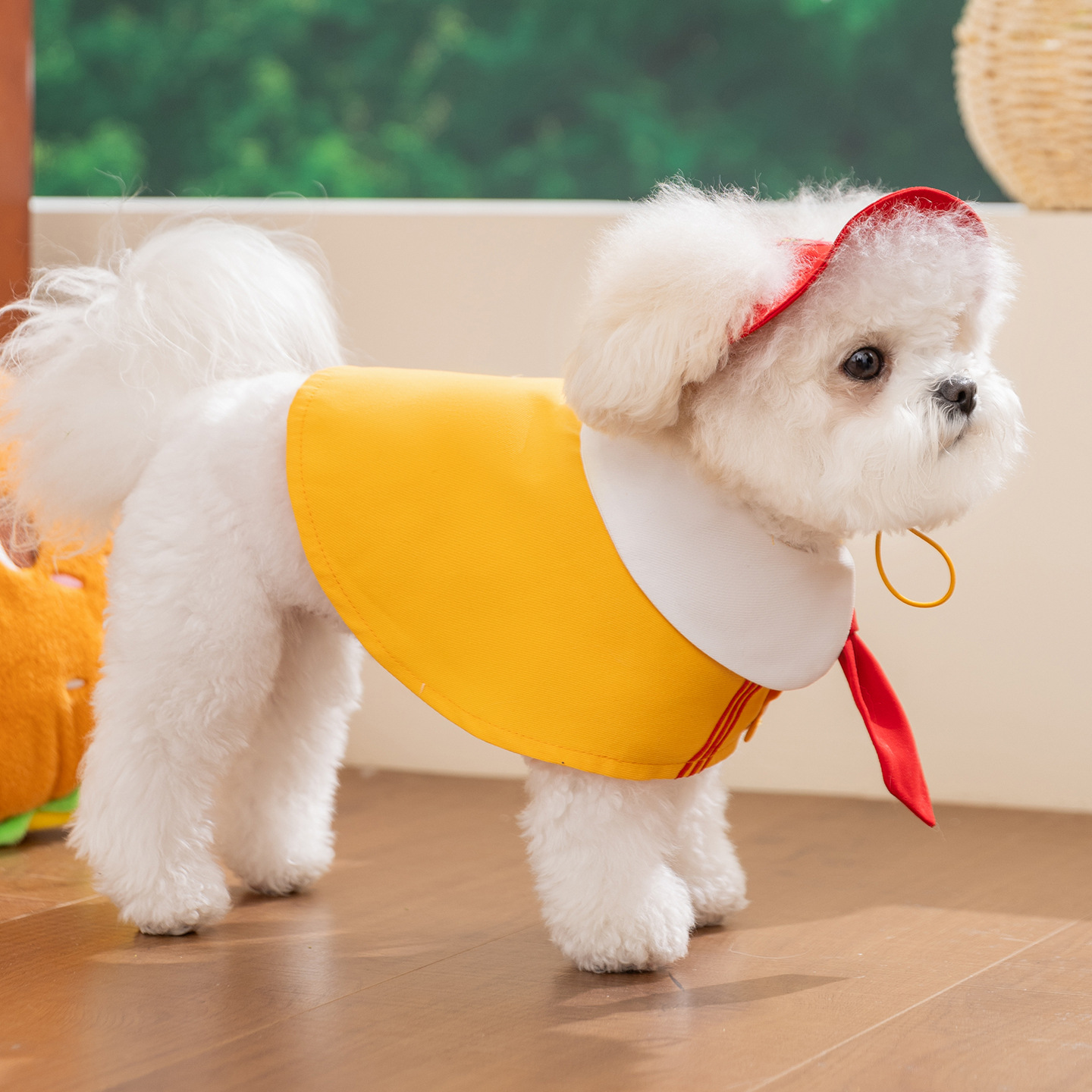 Summer cape for dogs, nautical style, light