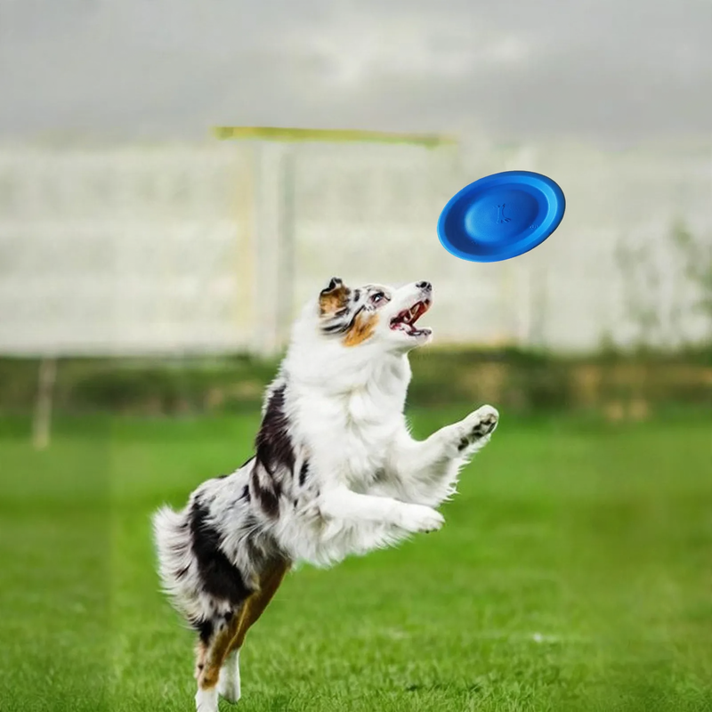 EVA training frisbee for dogs, soft, bite-resistant