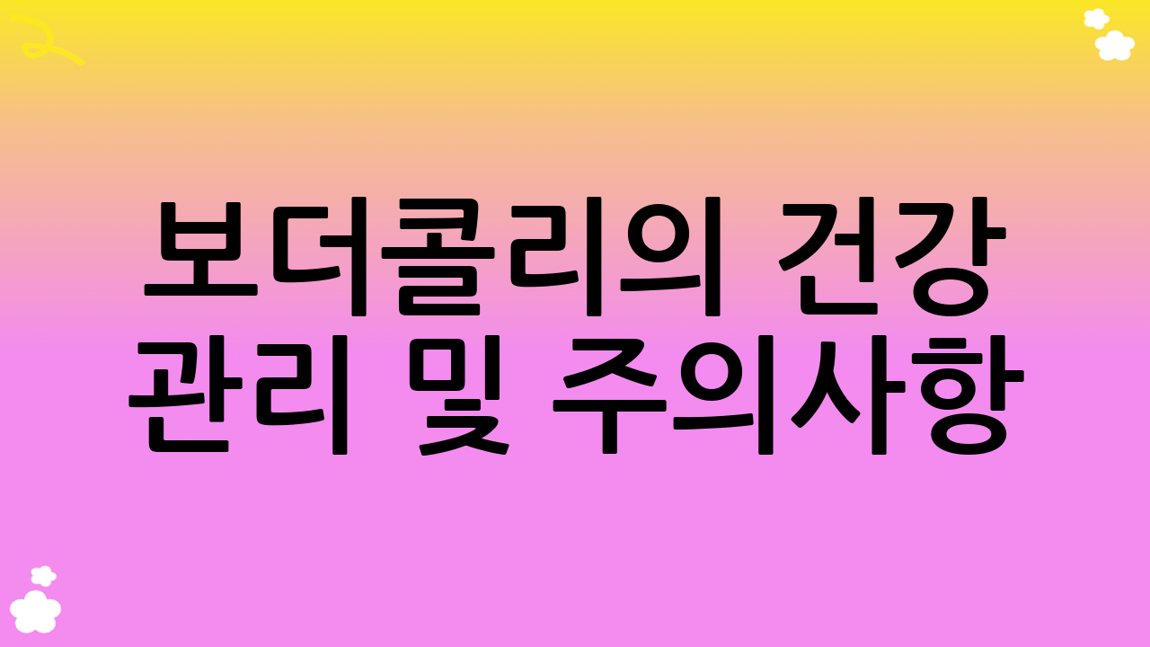보더콜리의 건강 관리 및 주의사항