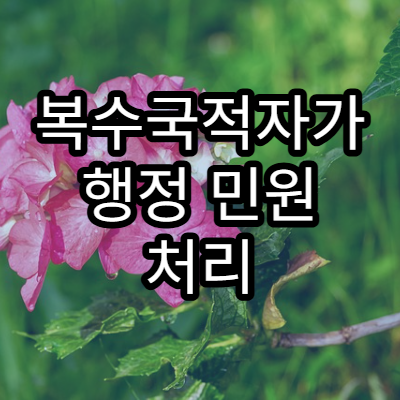 복수국적자가 행정 민원 처리 시 주의해야 할 사항