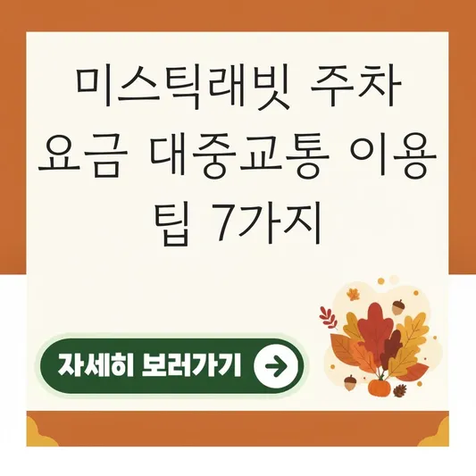 미스틱래빗 주차 요금 대중교통 이용 팁