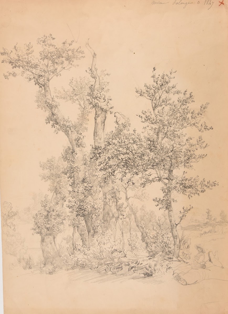 Bois et prè à Solonge près Mimeure 1847
