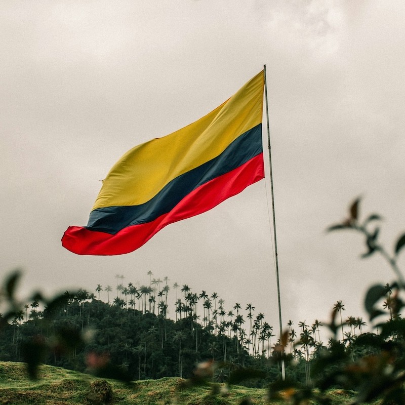 Ngành Buôn Bán Cocain của Colombia Vượt Qua Doanh Thu Xuất Khẩu Dầu Mỏ