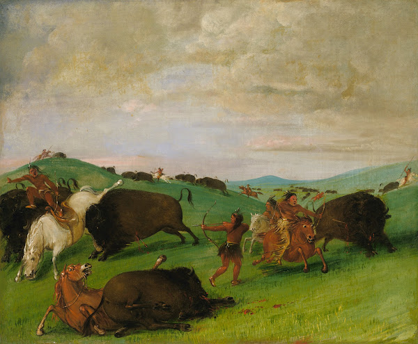 Buffalo Chase Bulls Making Battle With Men And Horses 1832 1833