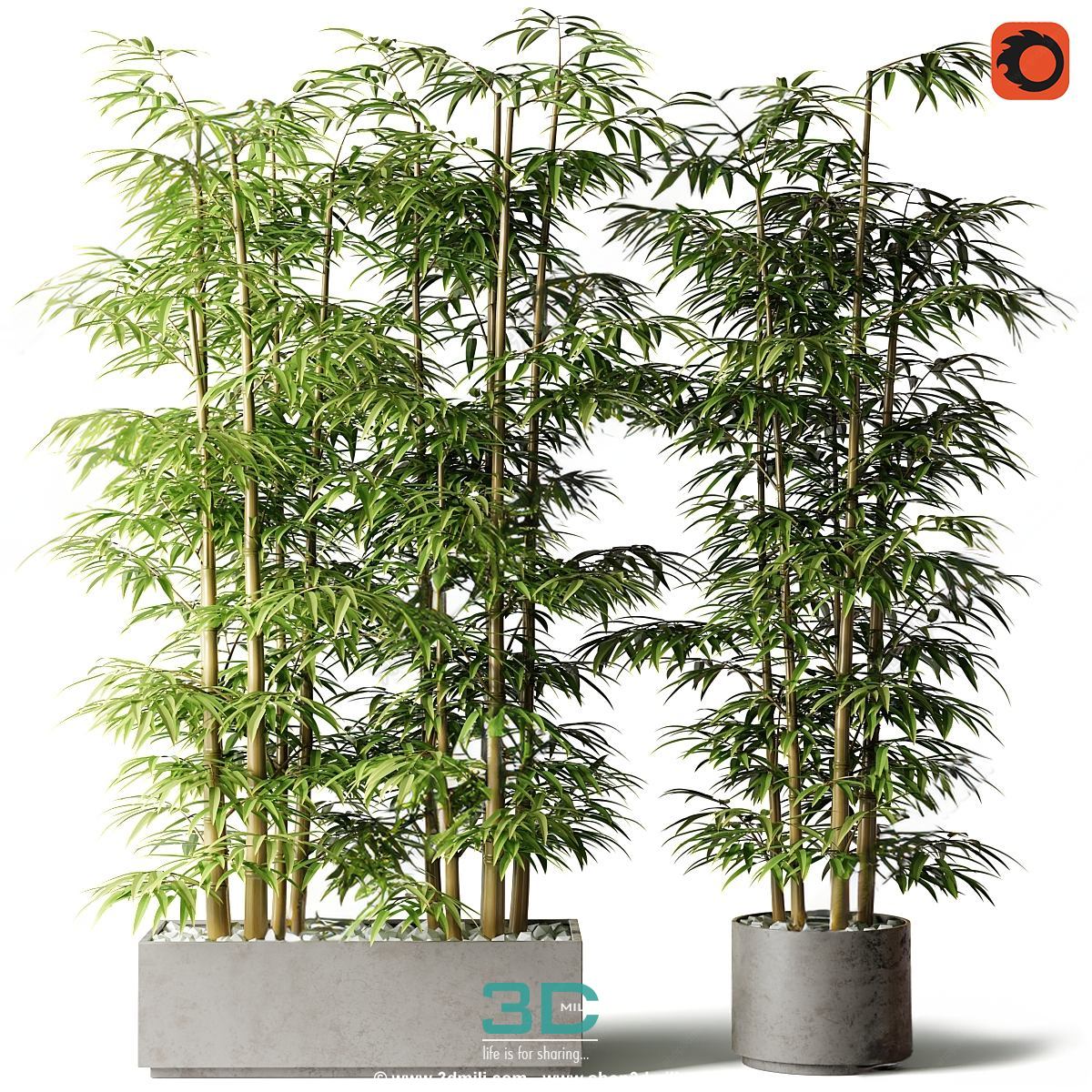 978.Sell Album Indoor Plant PRO Vol 01