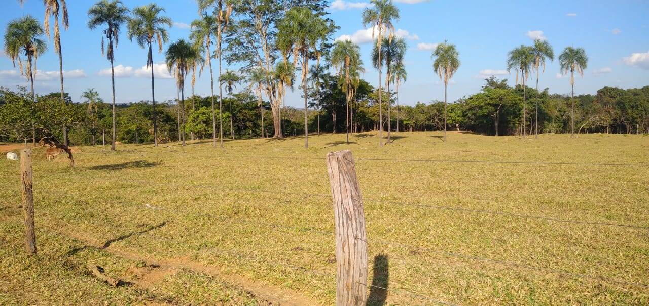 Fazenda em Água Fria - GO 4