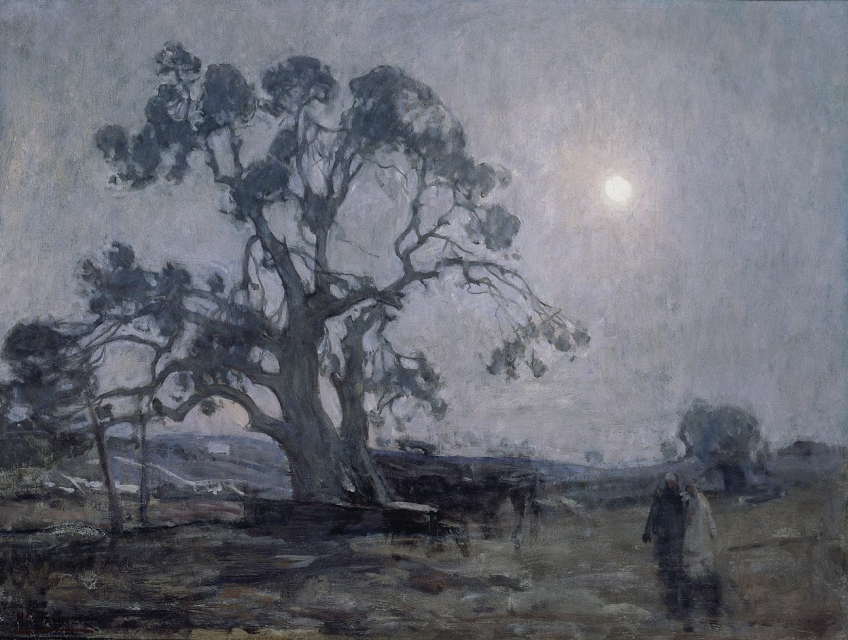 Abrahams Oak 1905