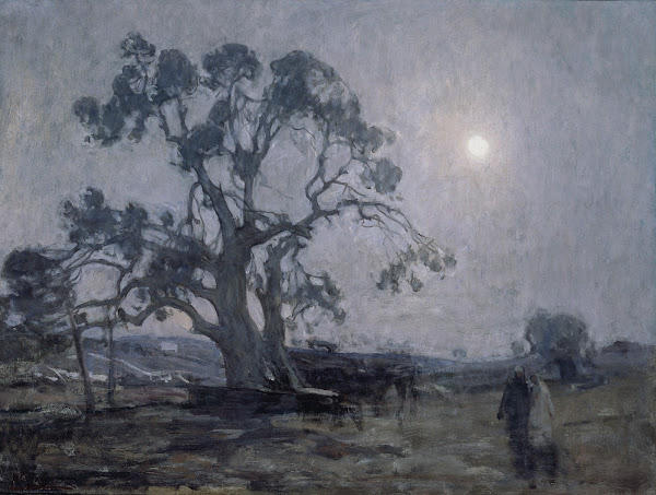 Abrahams Oak 1905
