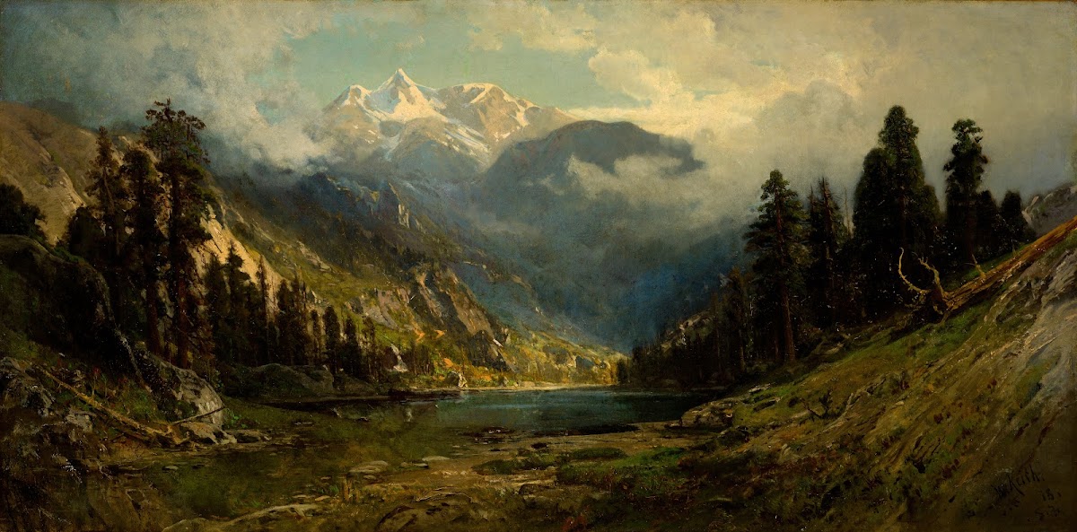 California Pines 1878