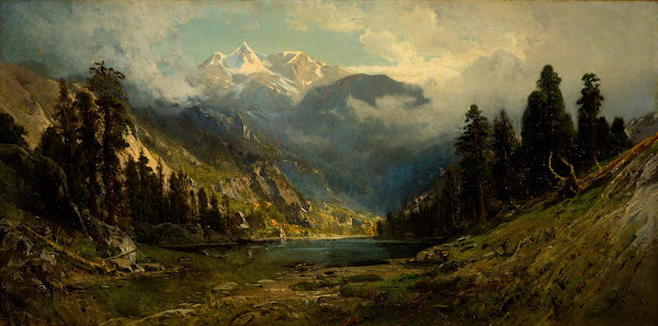 California Pines 1878