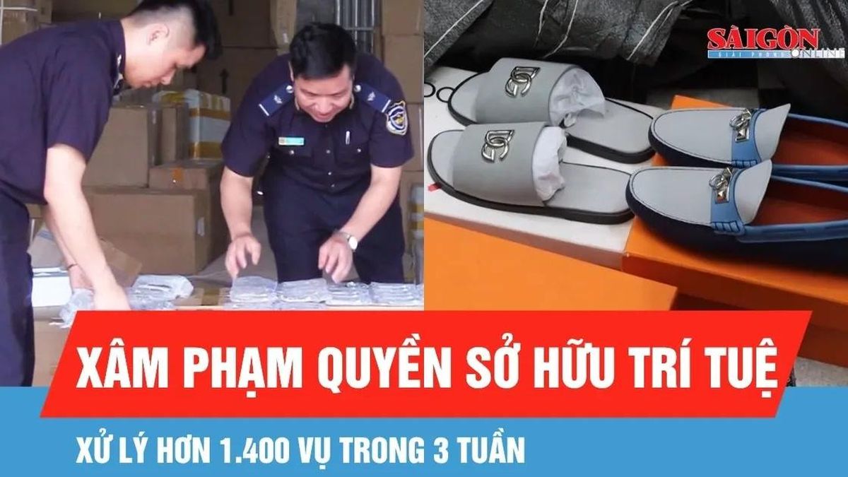 Trong 3 tuần, xử lý hơn 1.400 vụ xâm phạm quyền sở hữu trí tuệ - Báo Sài Gòn Giải Phóng