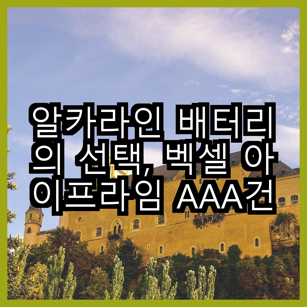 알카라인 배터리의 선택, 벡셀 아이프라임 AAA건전지와 스위스밀리터리 AA건전지의 뚜렷한 차이점은 무엇일까? 썸네일