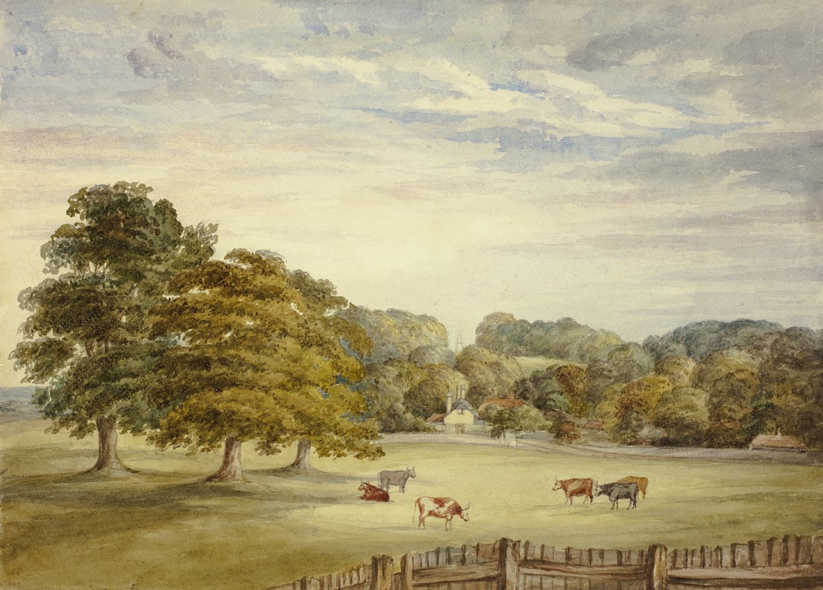 Six Cows Grazing before Country House