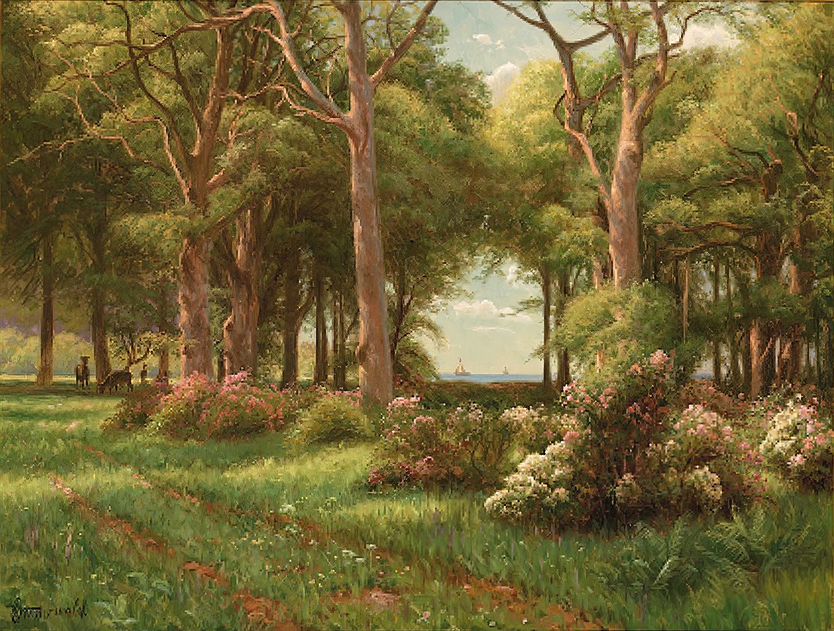 En Sommerdag I Skoven NæR Havet