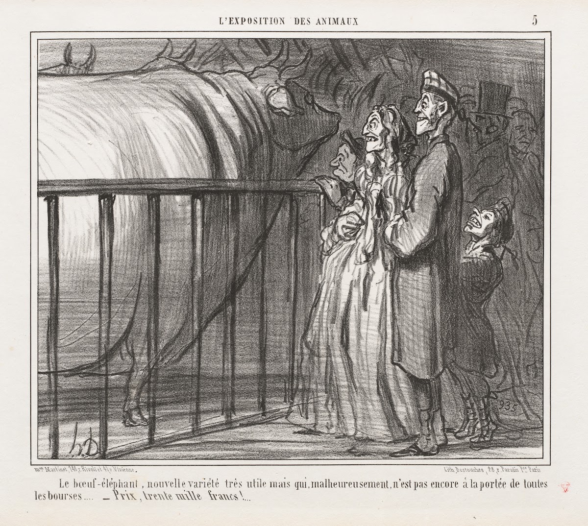 The ox elephant a new and very promising breed 1856