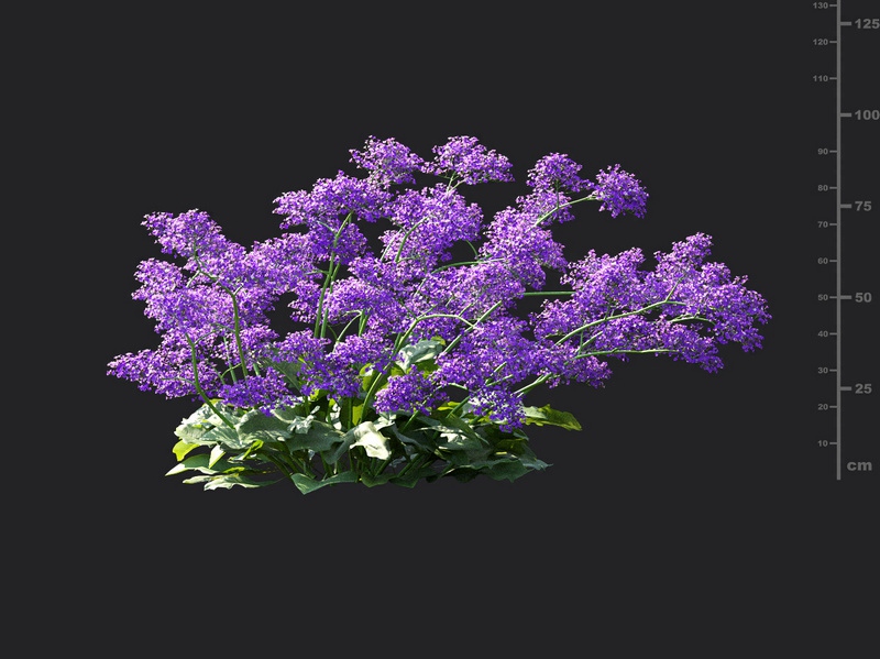 Maxtree - Plant Models Vol.115