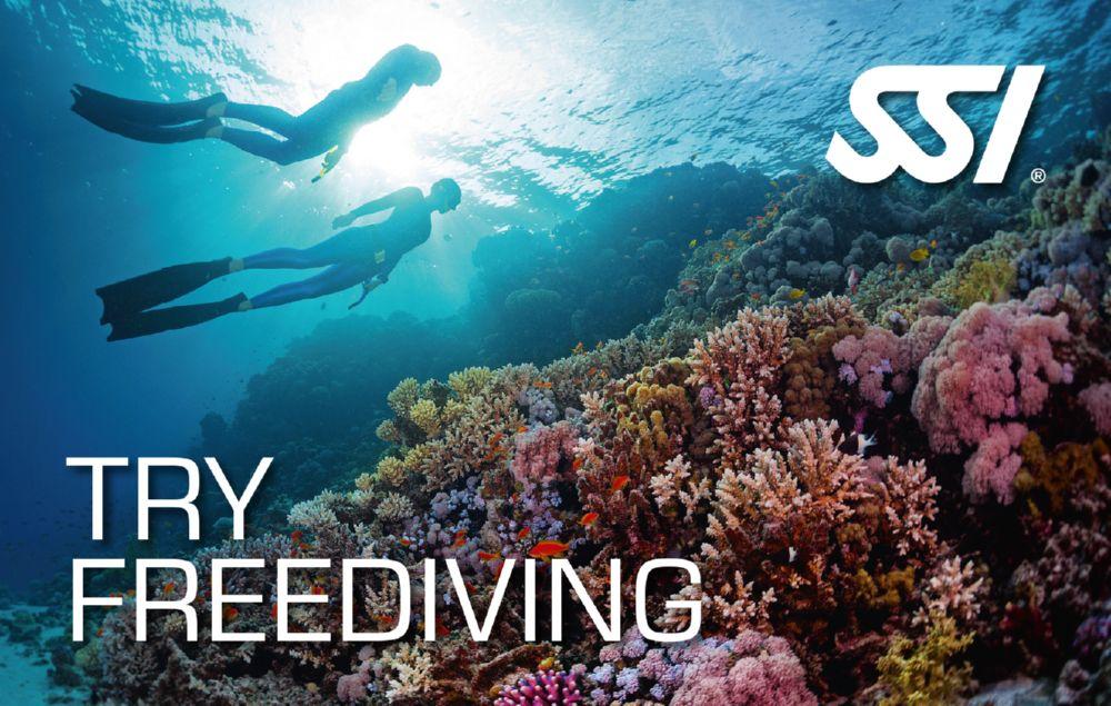 freediving pool