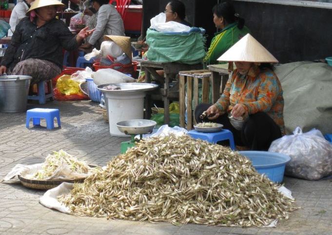 4-ca-phe-cung-tony_mui-kieu-1