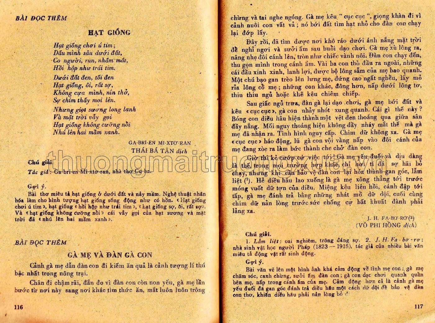 Văn 6, tập 2 (1988) - Trang 58