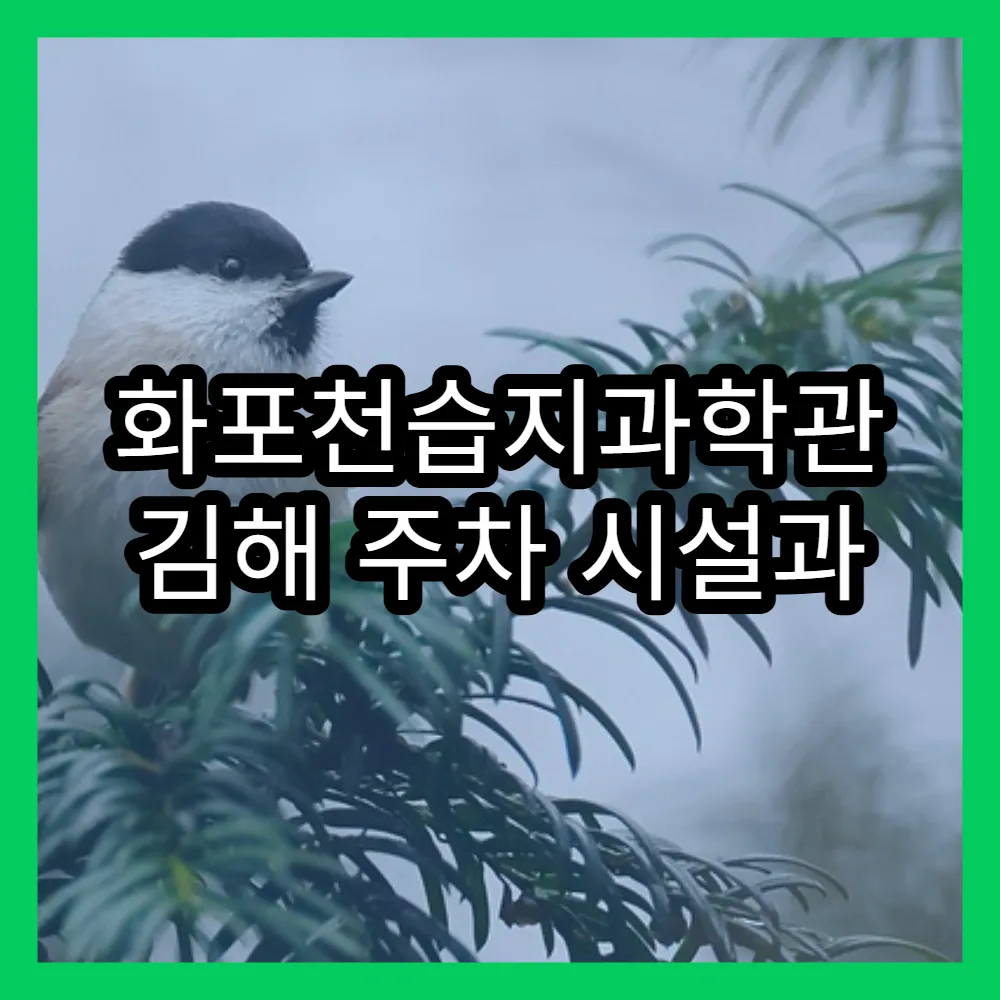 화포천습지과학관 김해 주차 시설과 방문 후기 추천