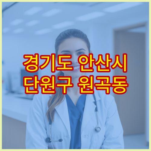 경기도 안산시 단원구 원곡동 설날 명절 연휴 당번약국 원곡문화의집·다문화로 인근 야간 응급약 판매 약국 안내