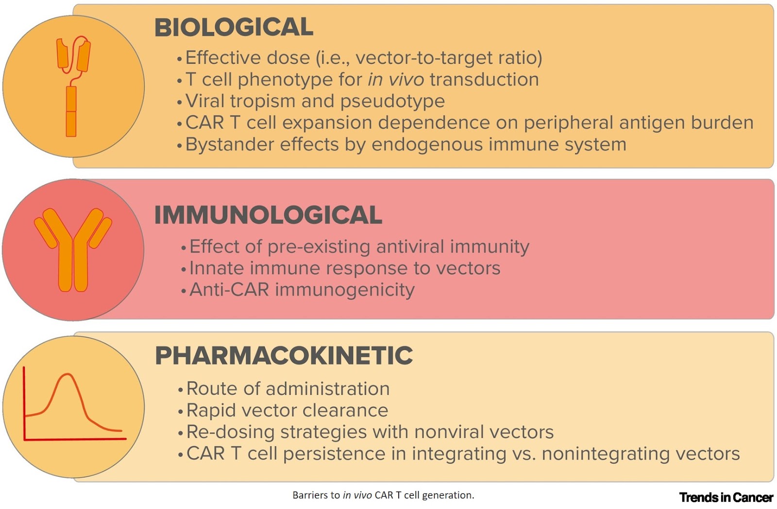 In vivo CAR T cell engineering: design principles and open questions