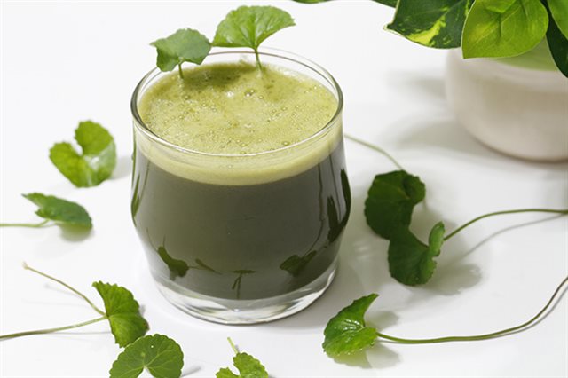 Sinh Tố Rau Má Sữa