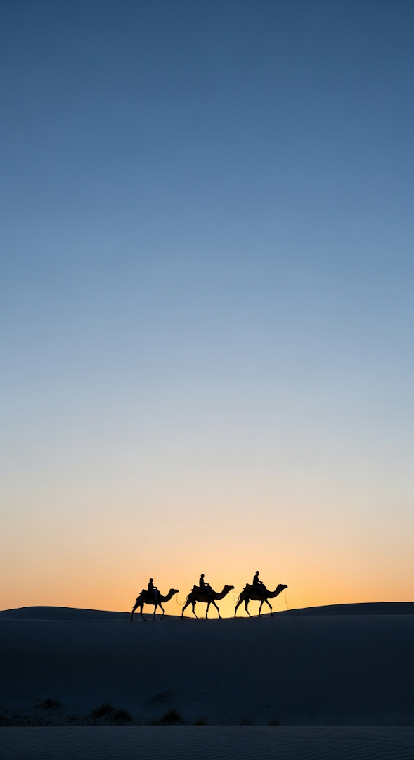 Silhouette of a Camel Caravan Crossing a Desert Dune at Twilight Against a Blue and Orange Sky