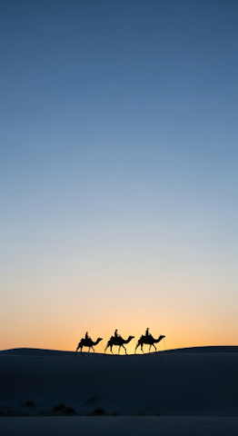Camel Caravan Desert Sunset