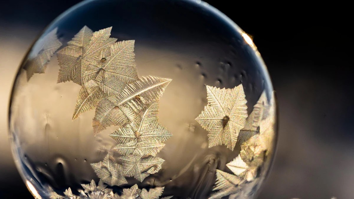 버블 정렬과 선택 정렬의 구조적 차이와 효율성 비교