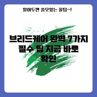 브리드케어 팁, 브리드케어 관리, 2023 애완동물 트렌드, 효율적인 브리드케어, 계절별 브리드케어