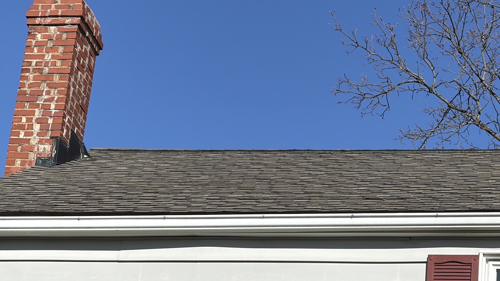 Copy of IMG_2026-03-12_16-54-00_722.jpg