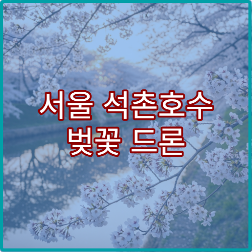 서울 석촌호수 벚꽃 드론 촬영 허용 구역과 규정 팁