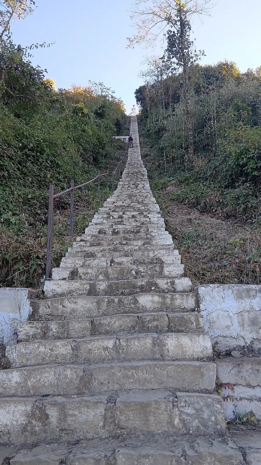 Pfutsero
