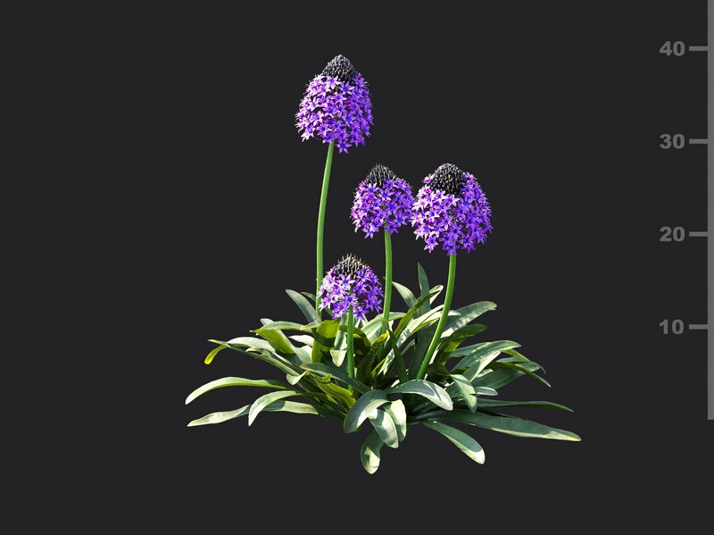 Maxtree - Plant Models Vol.115