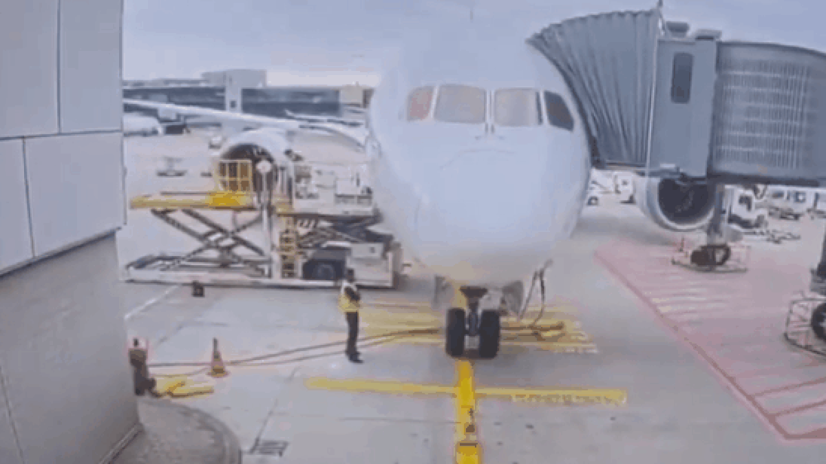 Boeing 787 mới tinh của Lufthansa bất ngờ 'gục đầu' tại sân bay Frankfurt, nhiều người bị thương - VietTimes