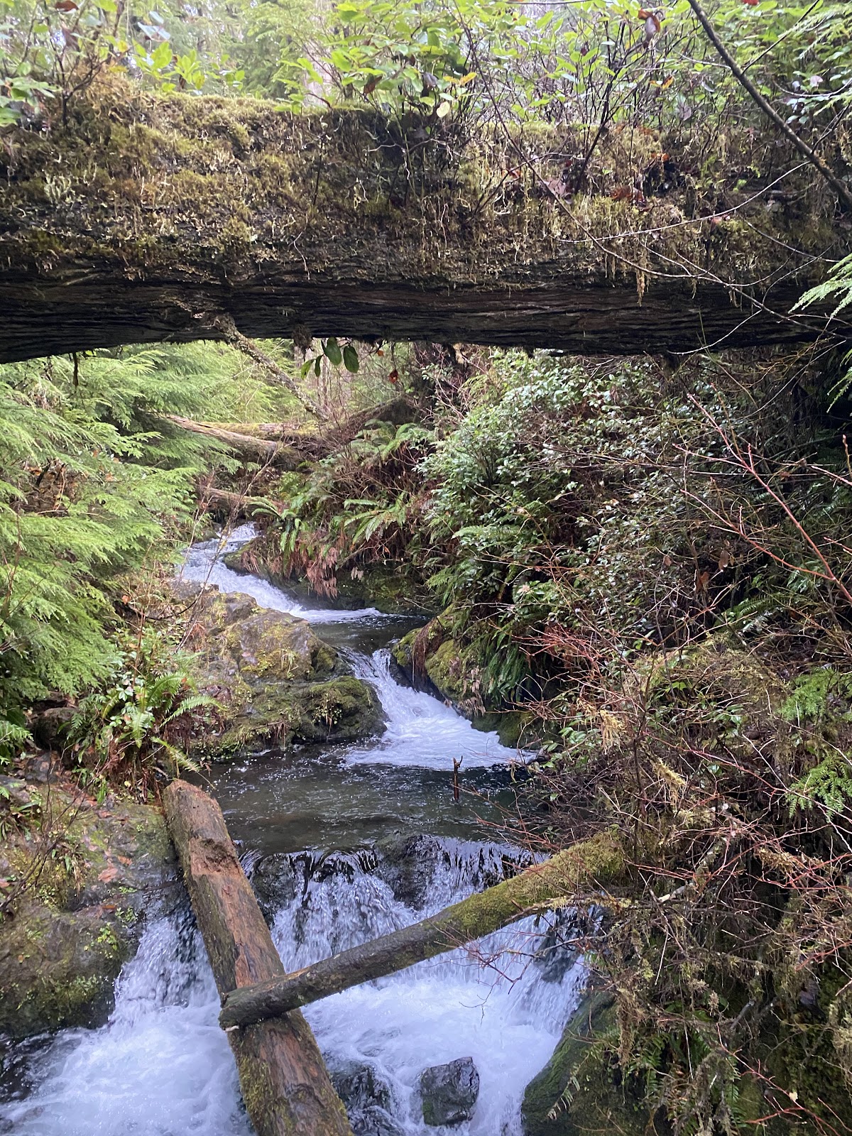 National Park — ash scattering ceremony by Bonaventure