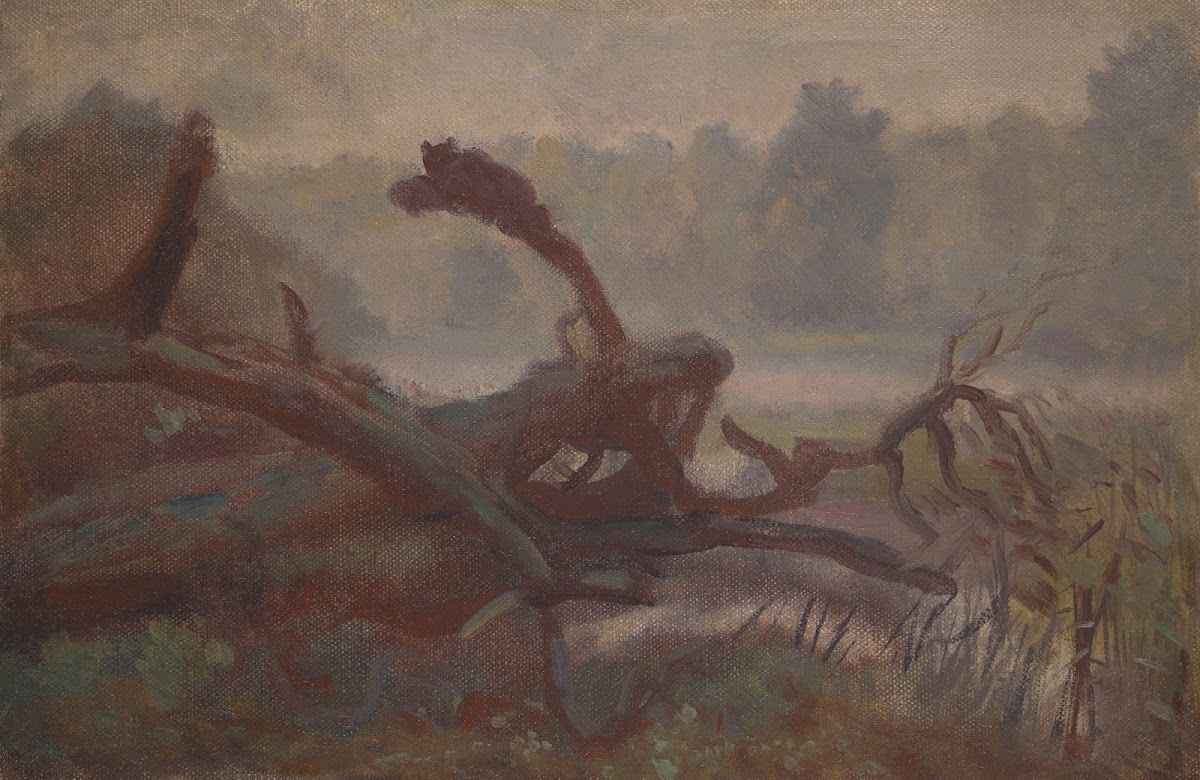Wilderness Forest Windfalls sketch 1902