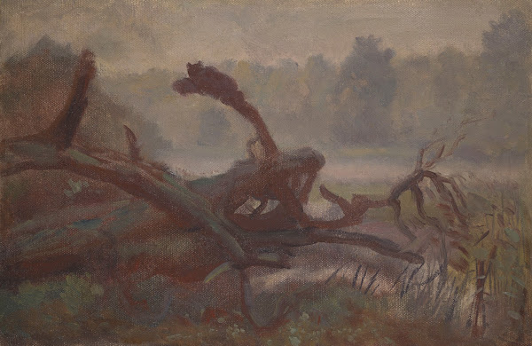 Wilderness Forest Windfalls sketch 1902