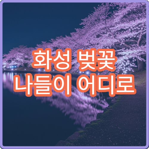 화성 벚꽃 나들이 어디로 갈까? 가족·연인별 추천 코스 정리