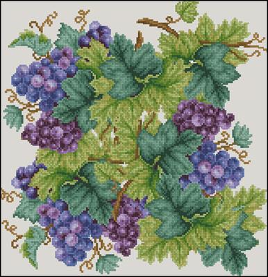 CMP 200617 Pattern