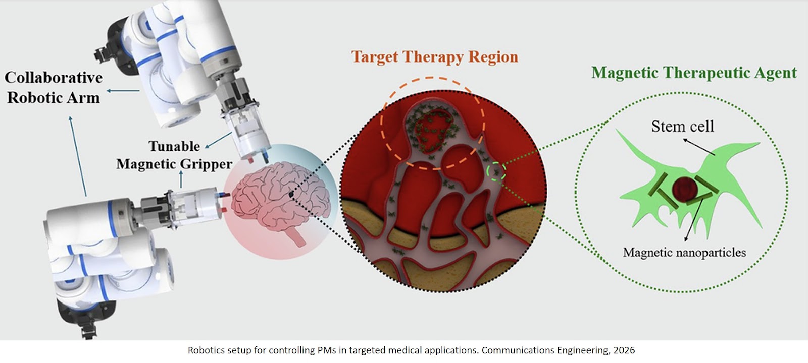 Magnetic field control with dual robotic tunable magnetic end effectors