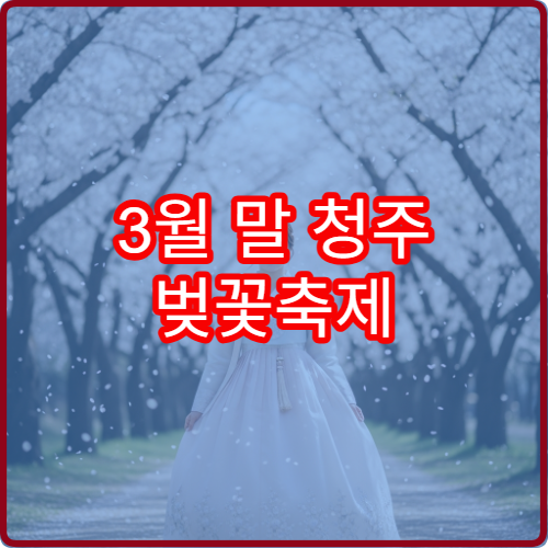 3월 말 청주 벚꽃축제 주차장 숨은 팁과 셔틀버스 가이드