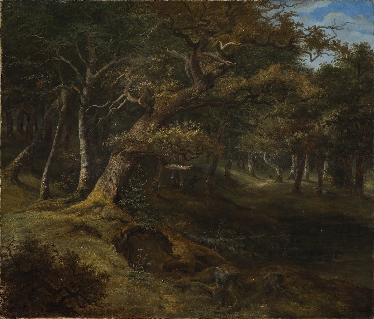 Hare hunt in a Beech Forest 1826