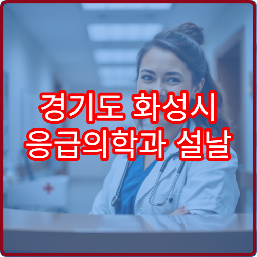경기도 화성시 응급의학과 설날 명절 연휴 진료 병원 24시간 응급 상황 대처 가능