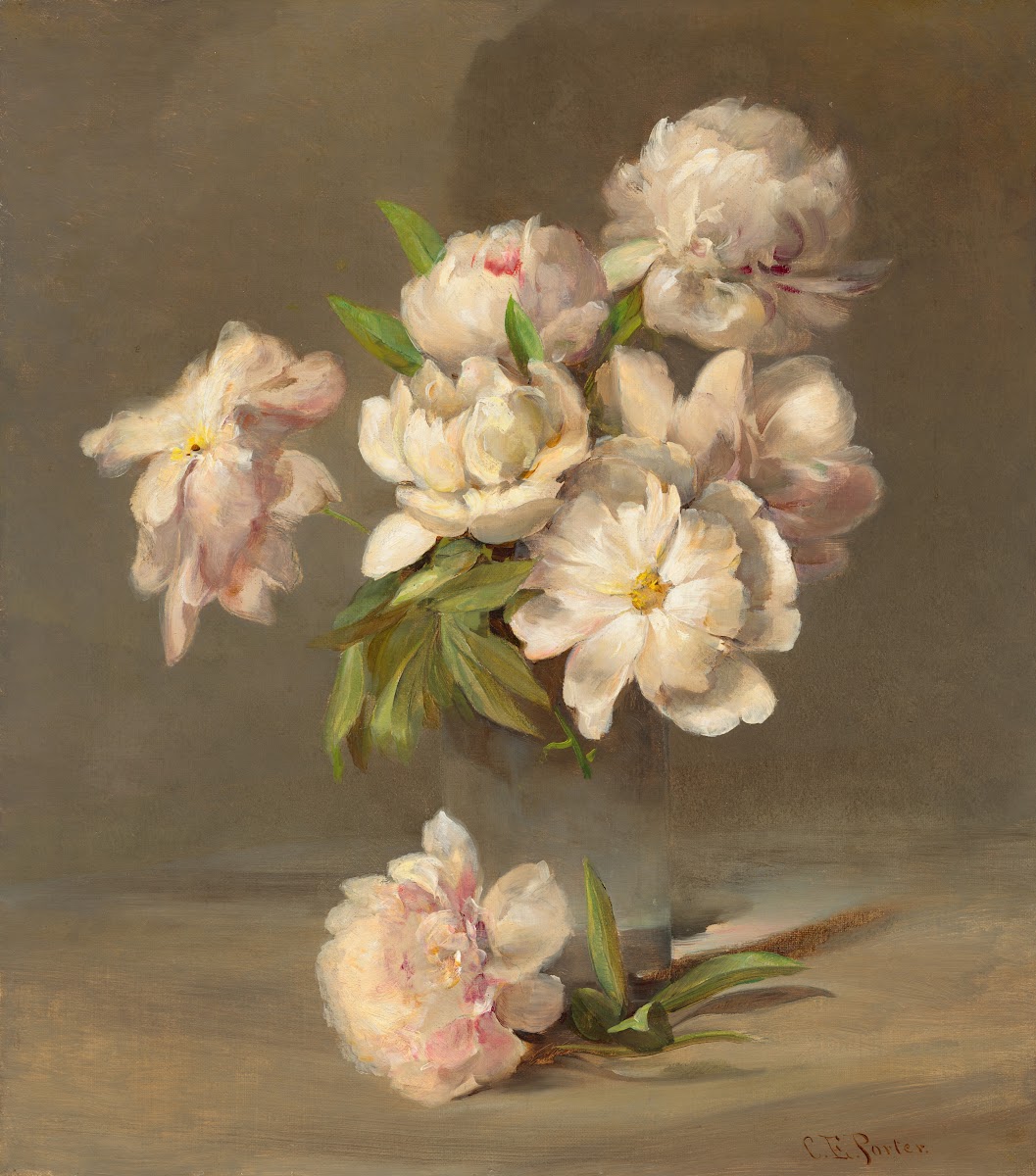 Peonies in a Vase c 1885