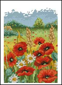 CMP 170035 Poppy Field