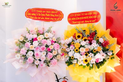 BinhPhoto-4041.jpg