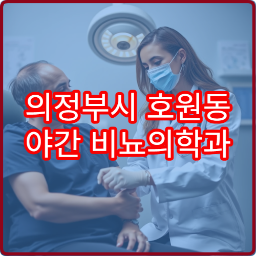 의정부시 호원동 야간 비뇨의학과 전립선 배뇨불편 진료 병원 정보